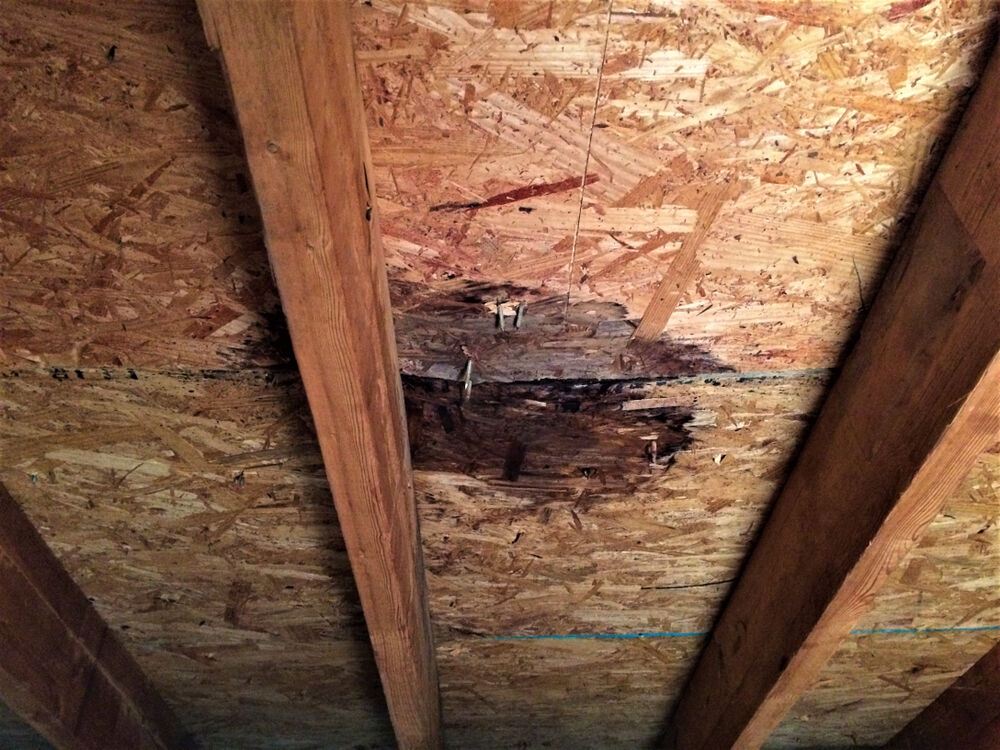 Rosie on the House: Inspect roof before winter rains arrive